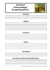 Braundickkopffalter-Steckbriefvorlage.pdf